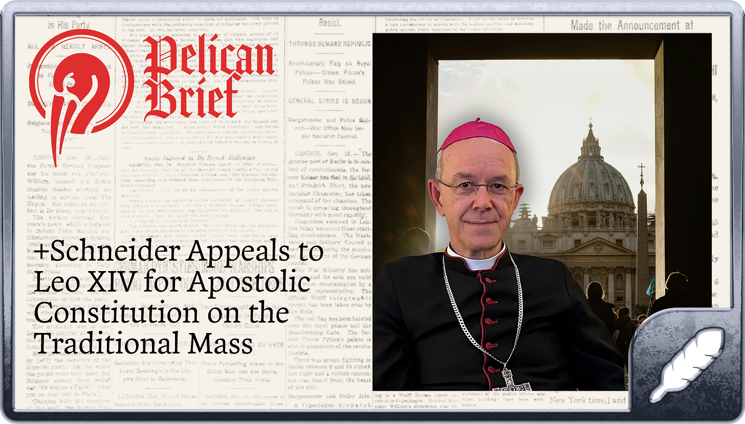 Bishop Schneider Appeals to Pope Leo XIV for Apostolic Constitution on the Traditional Mass