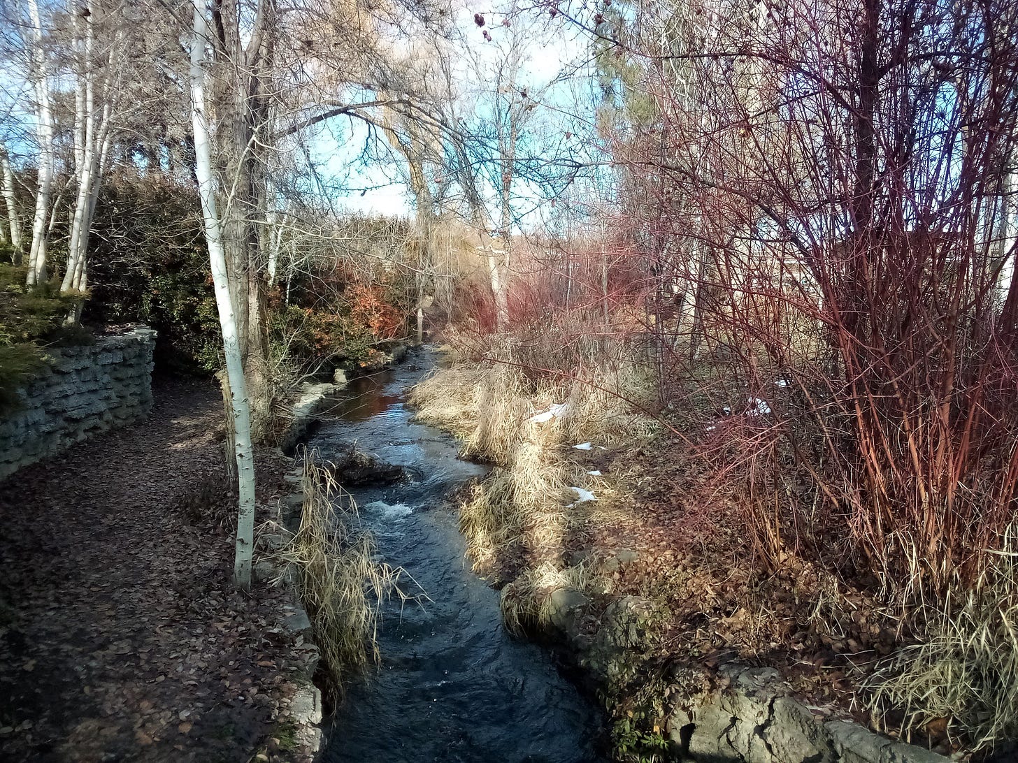 Creek in winter light