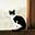 Cat Eldridge's avatar