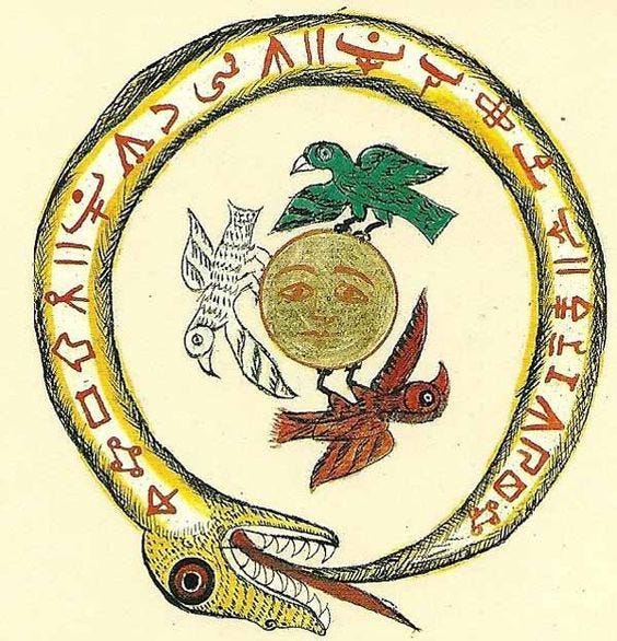 This may contain: an image of two birds in the middle of a circle with letters and symbols on it
