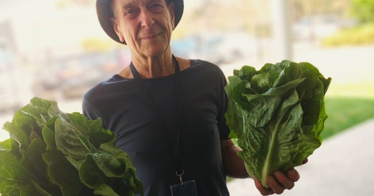 At The Pantry in Springwood, NSW At The Pantry in Springwood, NSW