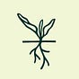 Soil Centric @Climate Farm Sch's avatar