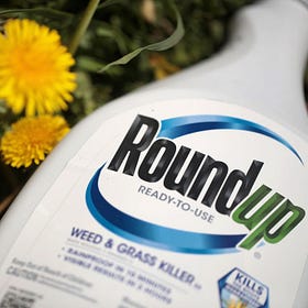 How Do I Tell My Neighbor To Stop Using Roundup?