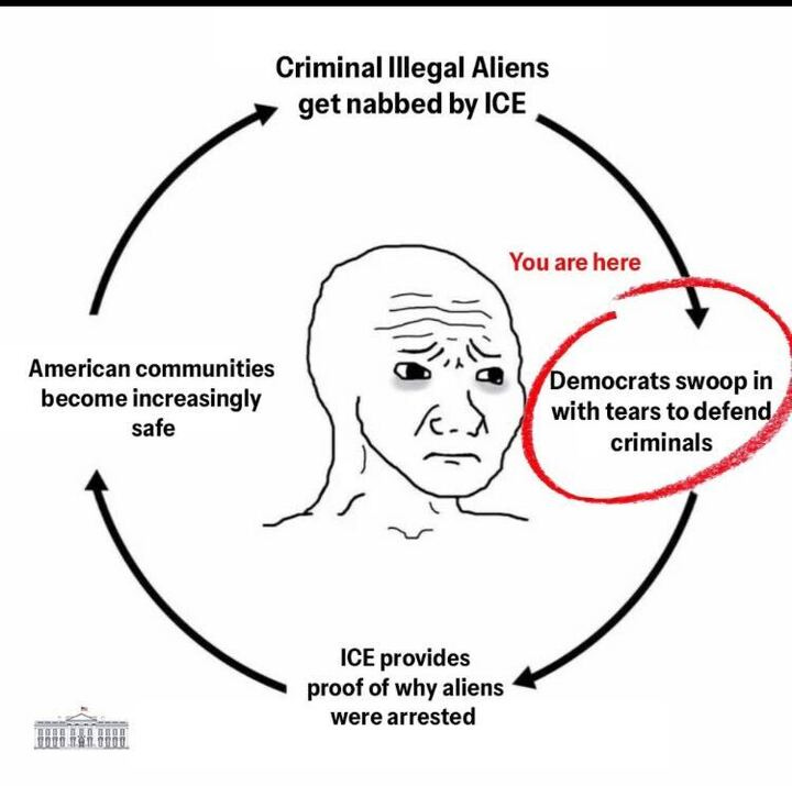 crying Wojak meme that Democrats cry and let criminals out