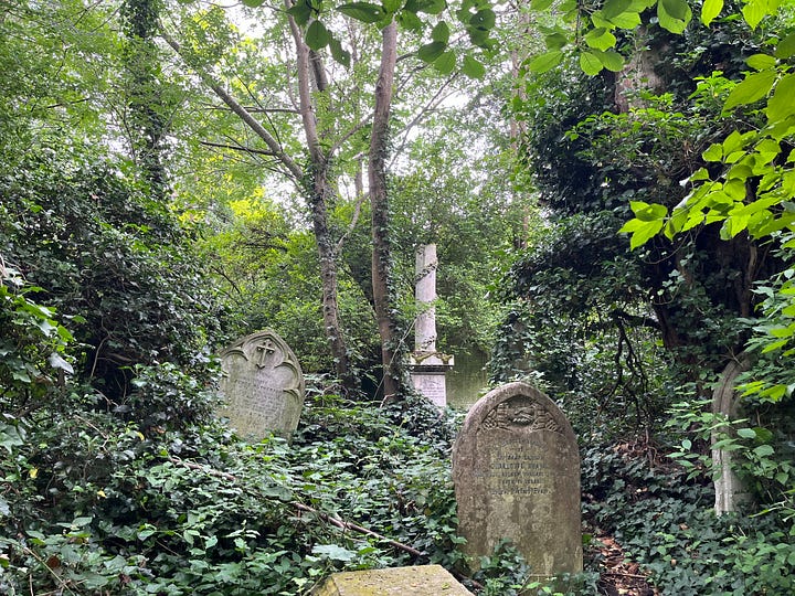 Broken column graves amongst a wild woodland