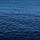 The Deep Dive