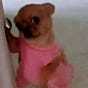 Nena's avatar