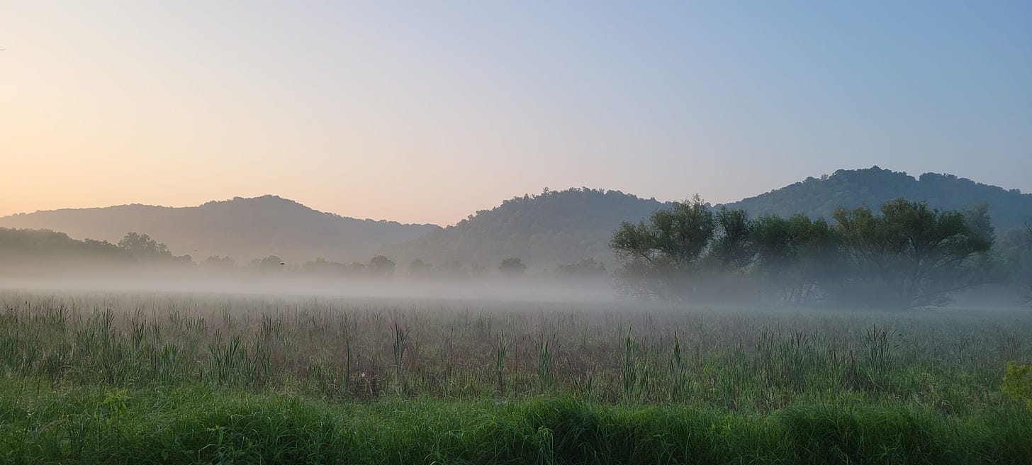 Morning view of a  valley with low fog. Light from the the sun is adding a glow from the top-right of the image. In the background a series of tree-covered ridges are in the background, mostly visible as sillohuettes.