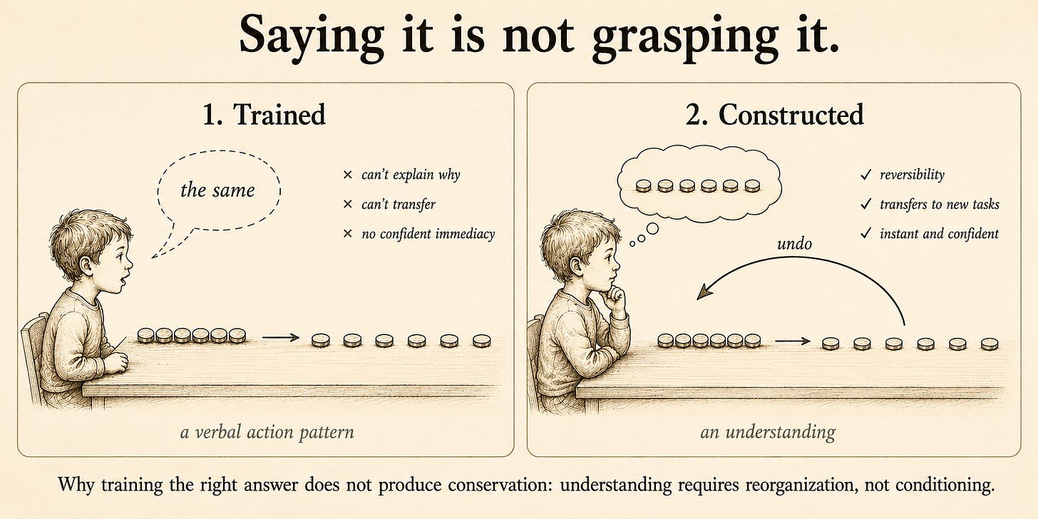 Two panels on the conservation task. Left ("Trained"): a child saying "the same" in a hollow, echo-outline speech bubble, annotated "can't explain why," "can't transfer," "no confident immediacy" — labeled "a verbal action pattern." Right ("Constructed"): a child watching a spread row run backward via an "undo" arrow returning it to lined-up form, calm and certain, annotated "reversibility," "transfers," "instant and confident" — labeled "an understanding."
