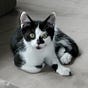Kitty Freddy's avatar