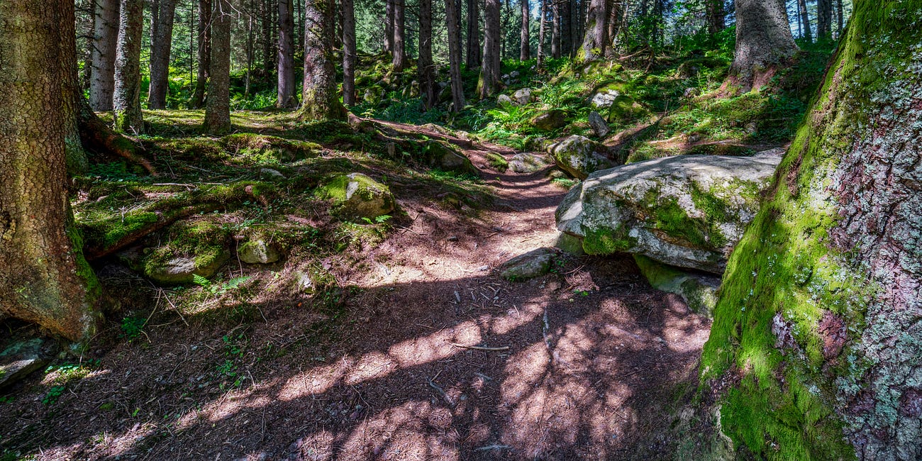 The Sacred Biology of Awe and Healing in Wild Places