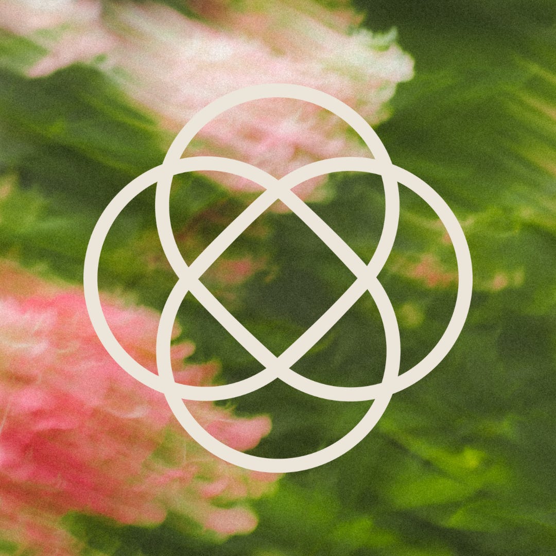 Emily | The Spirited Garden