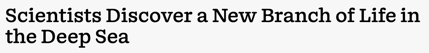 Scientists Discover a New Branch of Life in the Deep Sea
