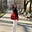Meredith W's avatar
