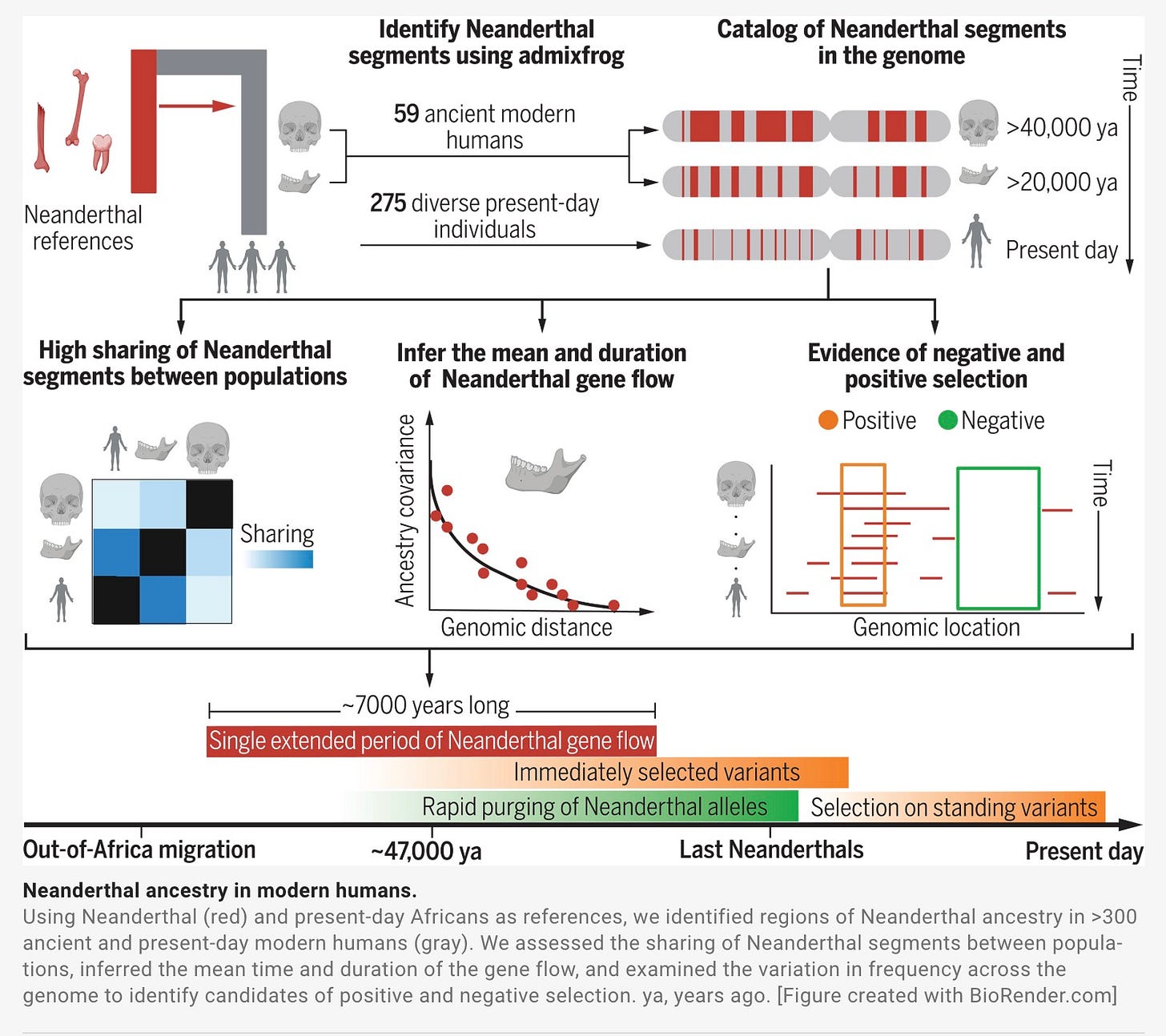 Morda je risba modra kopija, tloris in besedilo Morda je risba modra kopija, tloris in besedilo