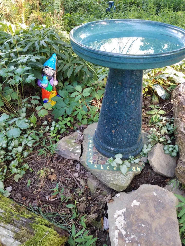 The shade garden seemed 