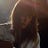 Feist’s Newsletter