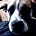 foofaraw & Chiquita(ARF!)'s avatar
