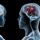 Are Male and Female Brains Different?