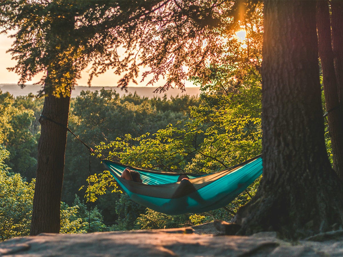 Chillin' in a Hammock