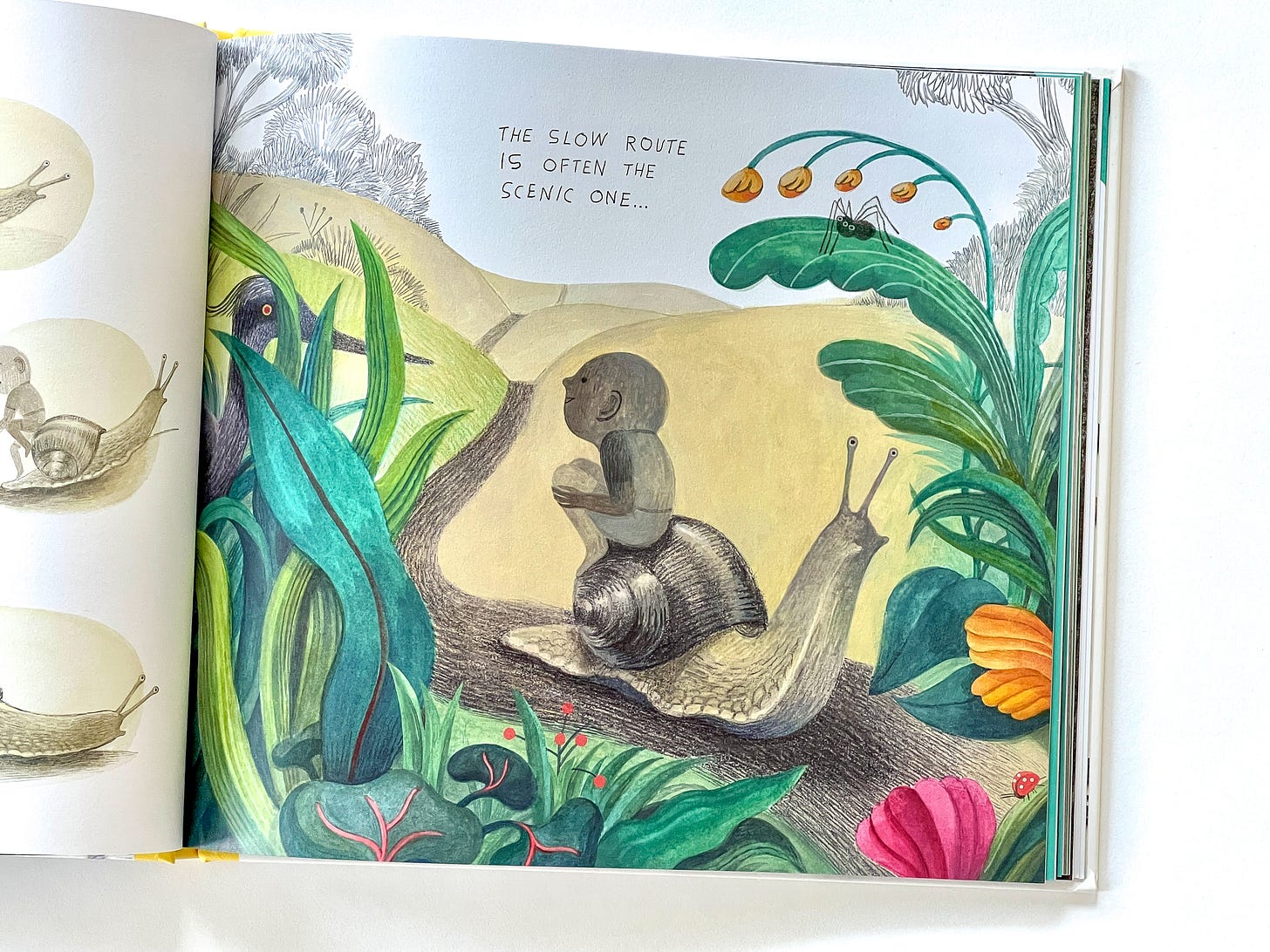 interior spread of the book