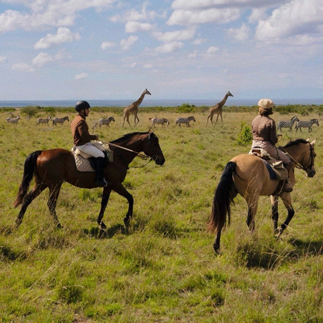Horse riding Horse riding