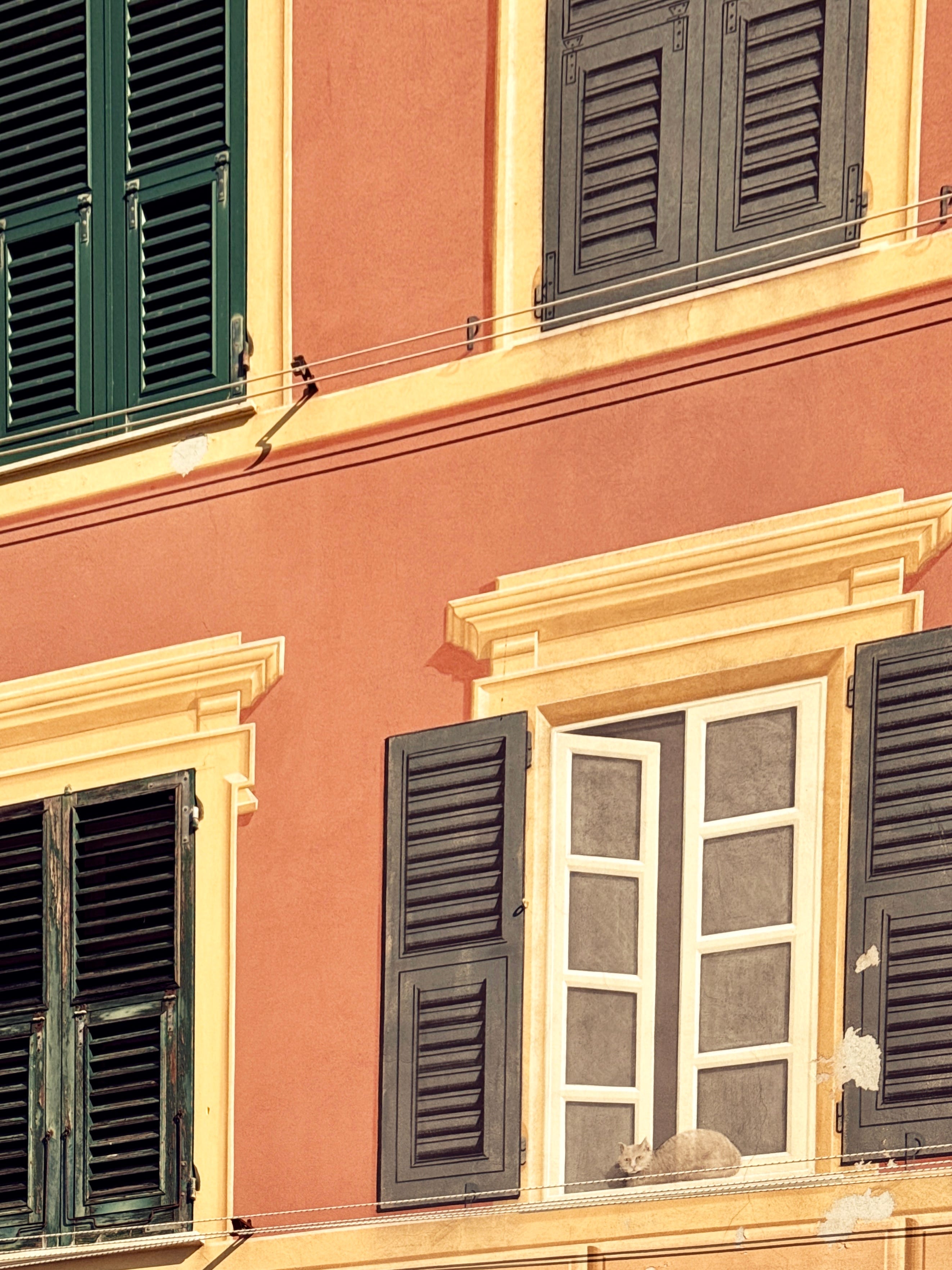 Design Postcard: the secrets of Italian trompe l'oeil, image size:2645x3527