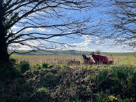 A brown-grey low building with two short towers against hedges and a blue sky; a sign in yellow and red reading 'you are being watched; a red lawn mower surrounded by branches and hedge with blue sky behind'