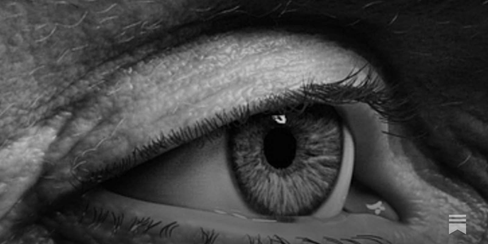 Guida al Disegno dell'Occhio: Video Tutorial e Risorse Utili, image size:1600x800