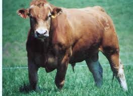 William Larry’s Substack