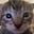 betina's avatar
