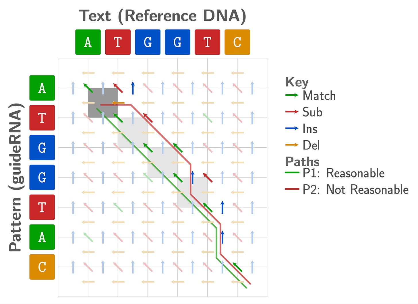 A DP matrix with the same layout as before—guide RNA prefix AT GGTA C on the vertical axis, reference DNA ATGGTC on the horizontal axis—with faded background arrows showing all possible moves. Two backtracking paths are overlaid and highlighted in gray. P1 (green, labeled "Reasonable") travels along the main diagonal through cells (1,1), (2,2), (3,3), (4,4), continuing downward with matches and a small number of edits. P2 (red, labeled "Not Reasonable") takes a divergent route involving substitutions and insertions, eventually making a leftward deletion move to reach cell (1,1), which is shaded dark gray to mark where pruning occurs. P2 is pruned at that cell because the last time it visited the main diagonal was (4,4), and the intervening slice—pattern rows 1–4 (TGG) and text columns 1–4 (TGG)—match exactly, meaning P1 covers the same region with fewer edits and P2's detour is unnecessary.