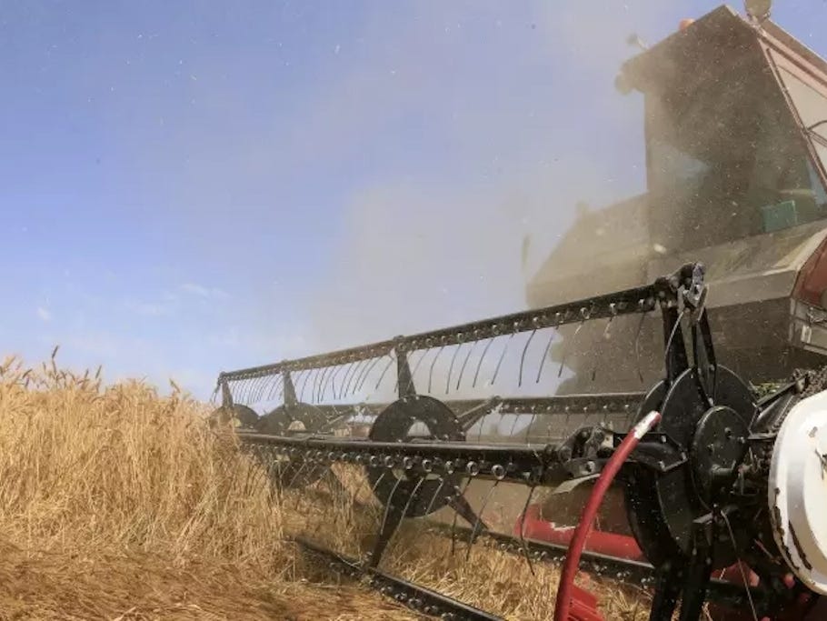 China is a particularly desirable market for Kazakhstan’s agricultural producers. (Photo: Kazakhstan government website)