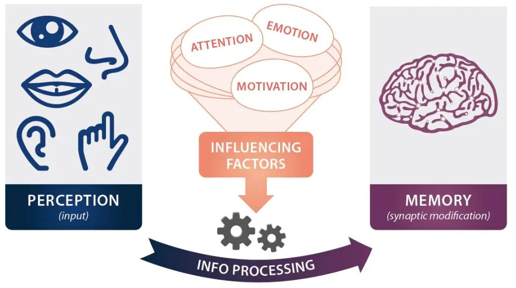 No alternative text description for this image