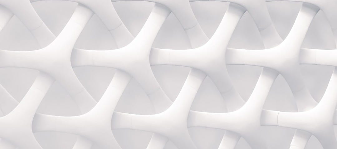 white and gray optical illusion