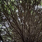 Self Acceptance. Idle Chatter. Facing Death.