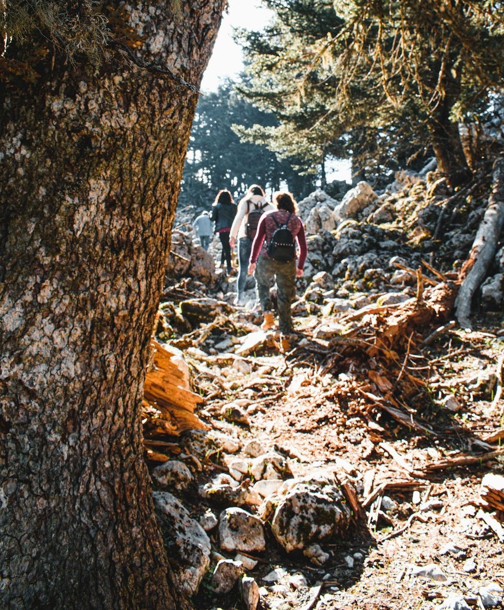people walking on rocky road during daytime