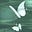 moths & moons's avatar