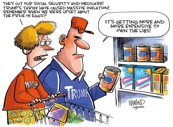 Trump's tariffs: US wages war on Canada, China and Americans| Cartoons
