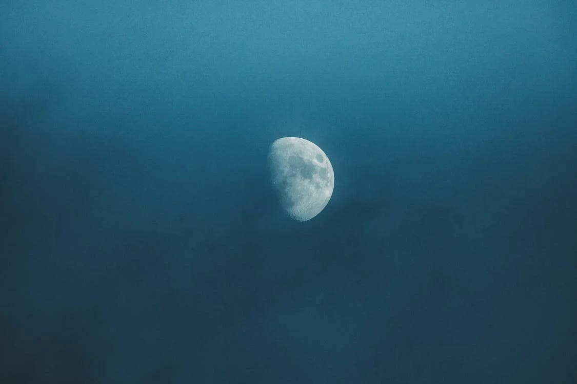 Wirestock: A Closer Look at Selling Your Photography