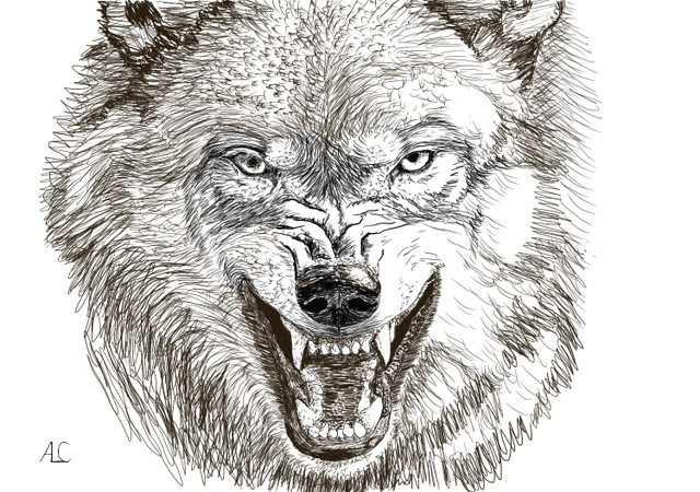 1 Wandering Word Nerd