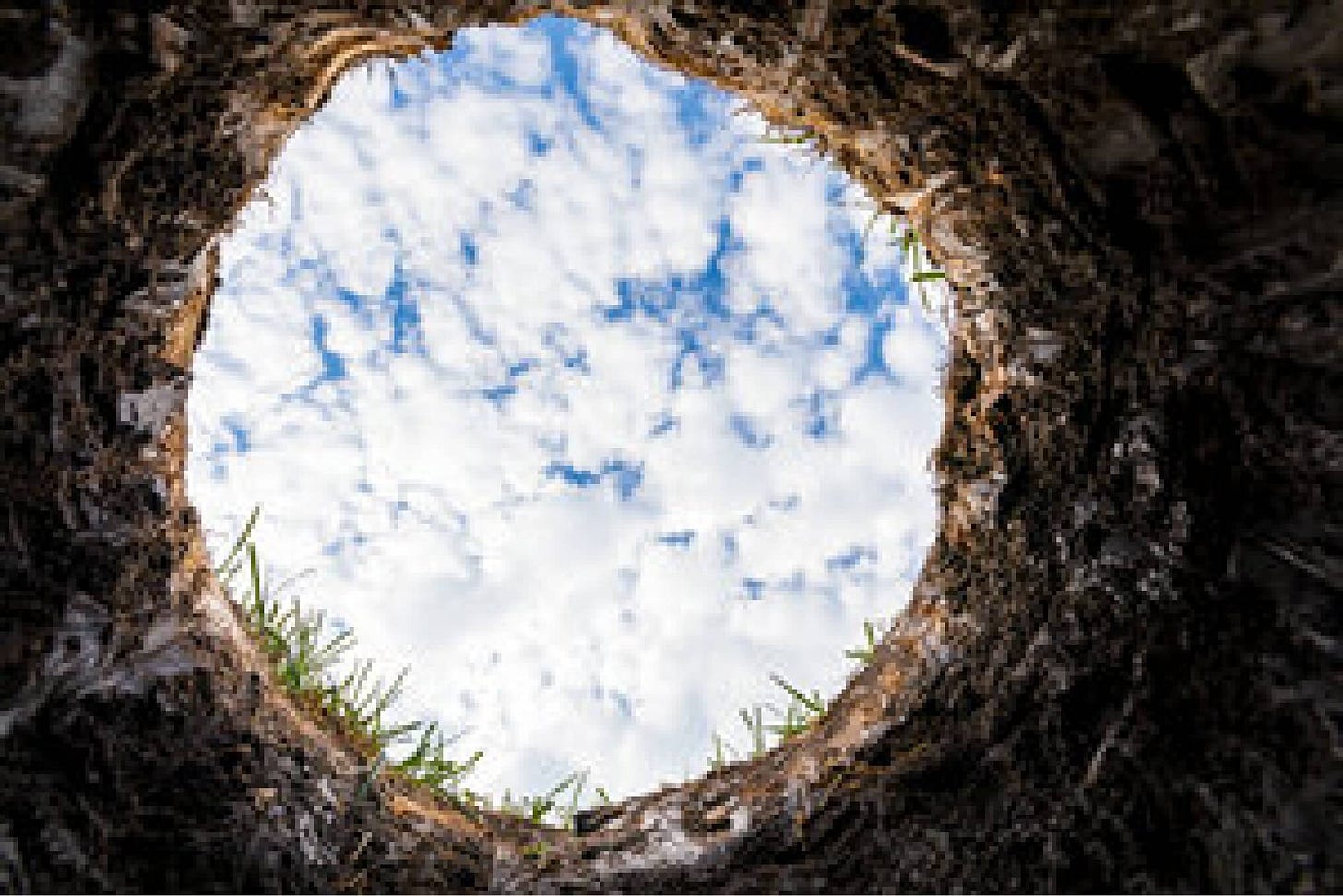 Lockdown survival guide No 2: Climbing out of holes