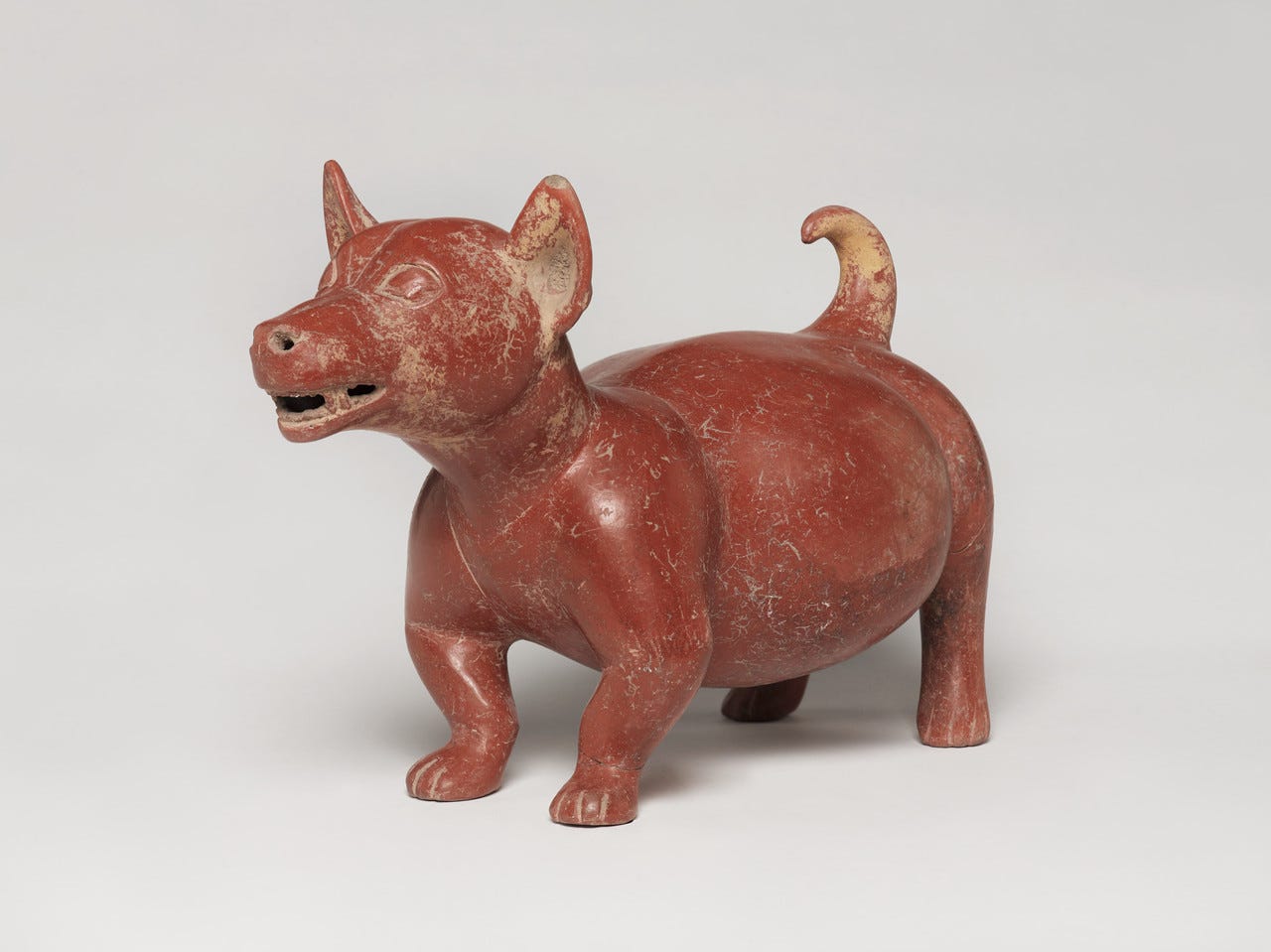 Frida Kahlo loved the Mexican hairless dog breed xoloitzcuintli, whose name is derived from two words in the Aztec language: Xólotl, the god of death; and itzcuintli, or dog. She even went as far as to name her favorite pet dog “Mr. Xolotl,” after... Frida Kahlo loved the Mexican hairless dog breed xoloitzcuintli, whose name is derived from two words in the Aztec language: Xólotl, the god of death; and itzcuintli, or dog. She even went as far as to name her favorite pet dog “Mr. Xolotl,” after...