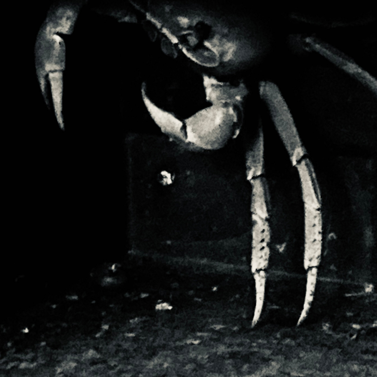 End of the Milky Way