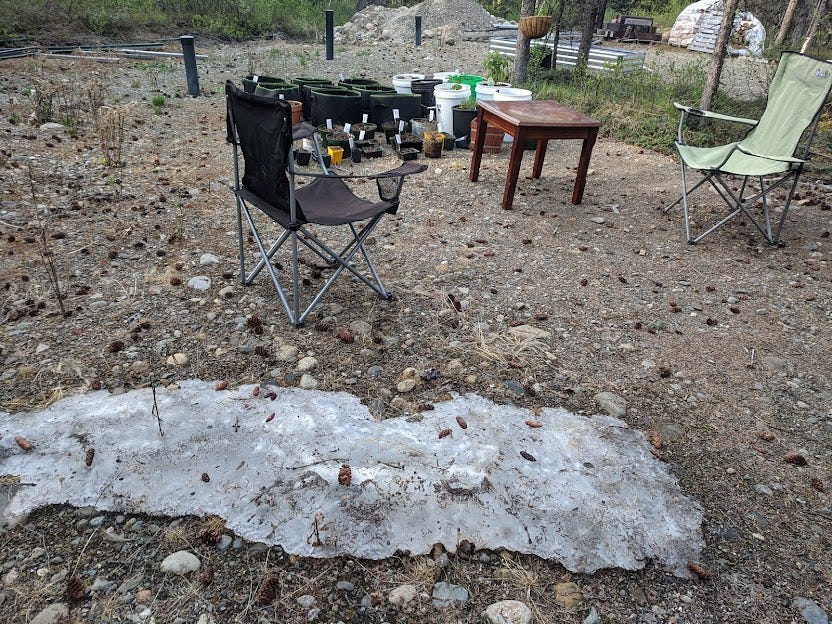 melting snow and a bunch of pots and grow bags of plants and seeds