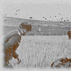 Mercury’s Crucible