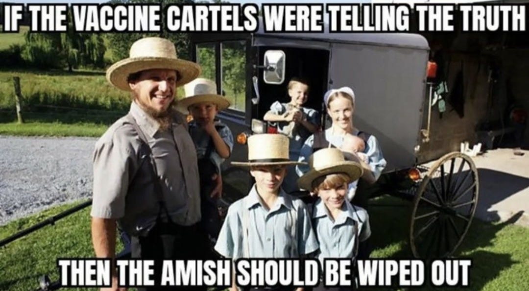 The best Amish memes :) Memedroid