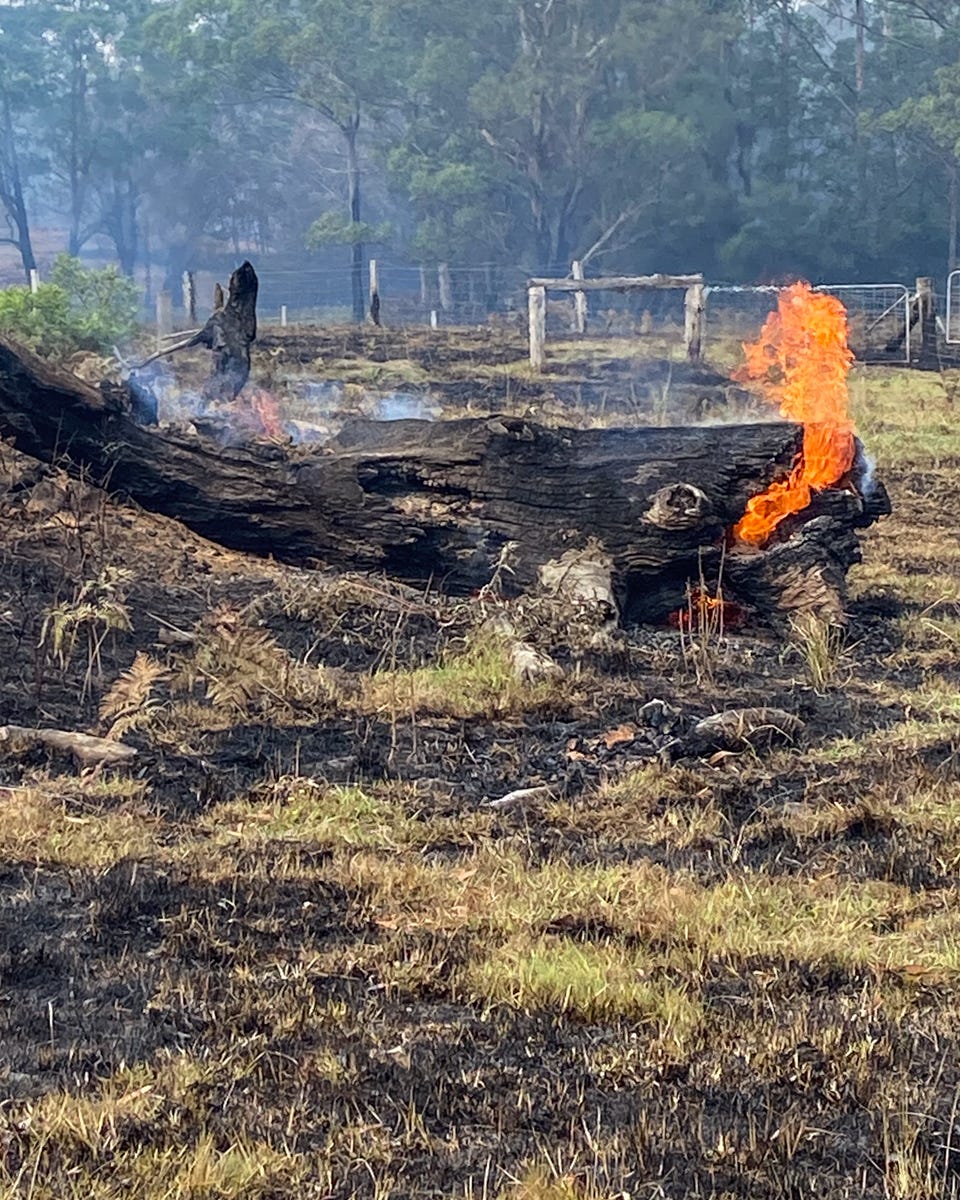 9.Vanessa Hartley returned to her home after the bushfires had passed, but she and her partner still spent days putting out smaller fires on her property like this one. Image by Vanessa Hartley. 
