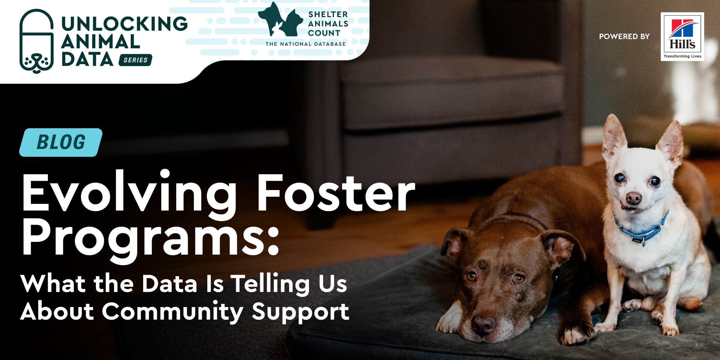 Evolving Foster Programs: What the Data Is Telling Us About Community ...