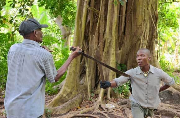 Grace, danger blend in Haiti's machete fighting – Caribbean Life